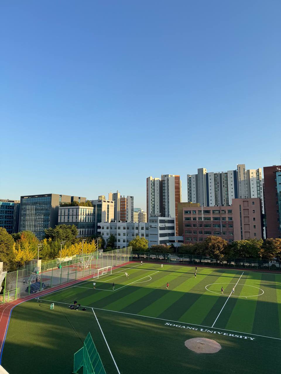 푸른 하늘 아래 서강대 운동장이 펼쳐지고 왼쪽 농구장 주변으로 노란 잎의 나무들이 늘어서 있다